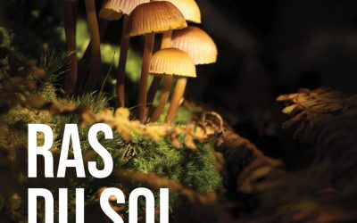 Exposition Photo ‘Ras du Sol’ du 13 au 15 novembre 2026